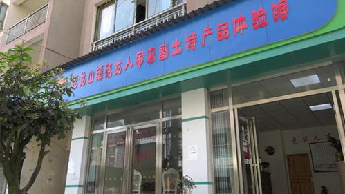 農(nóng)村致富領頭人陳大全 農(nóng)特產(chǎn)品深加工助推鄉(xiāng)村產(chǎn)業(yè)發(fā)展