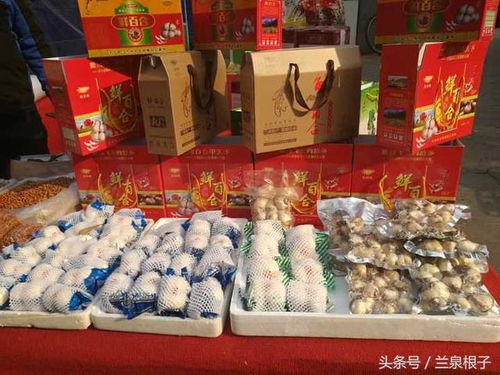 蘭州市供銷社多措并舉保障農(nóng)副土特產(chǎn)品市場(chǎng)供應(yīng)與安全經(jīng)營(yíng)